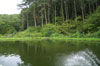 Forest Hill Trout Farm Fishery and Shop in Flintshire